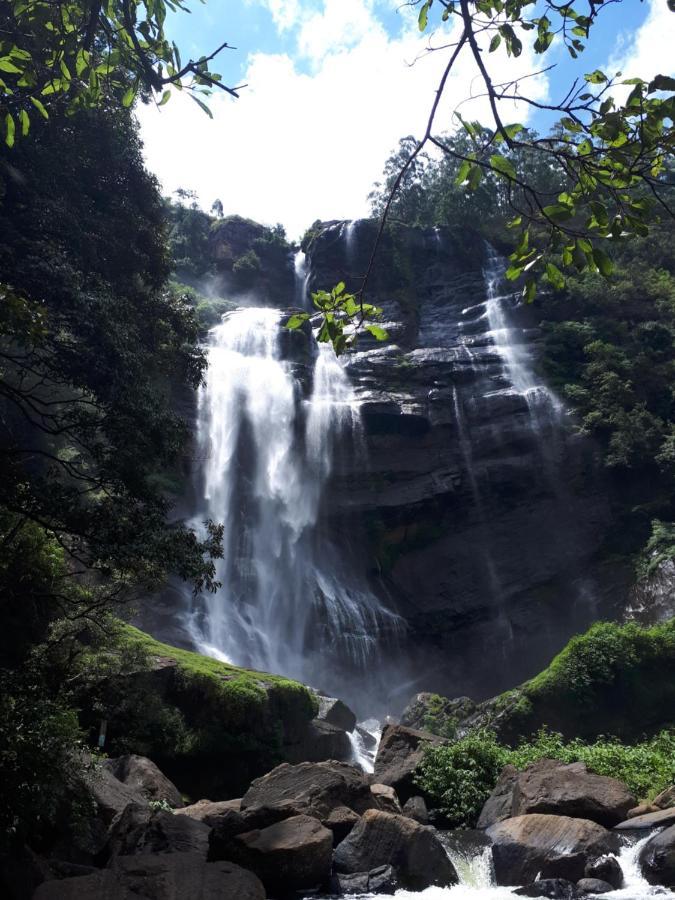 Woods Hut Lägenhet Nuwara Eliya Exteriör bild