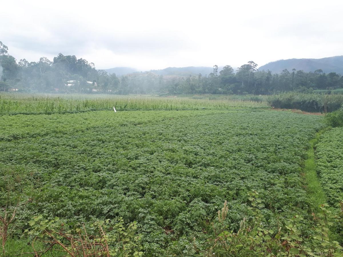 Woods Hut Lägenhet Nuwara Eliya Exteriör bild
