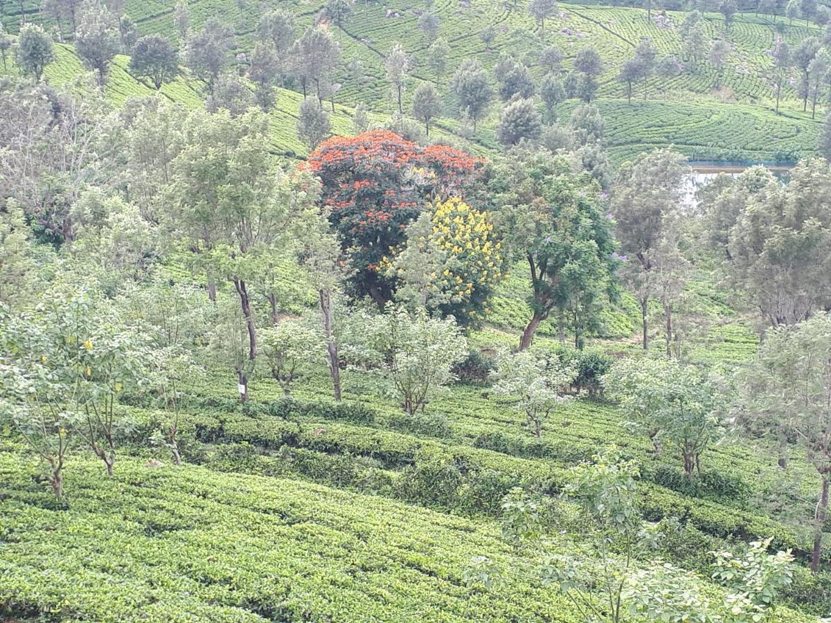 Woods Hut Lägenhet Nuwara Eliya Exteriör bild