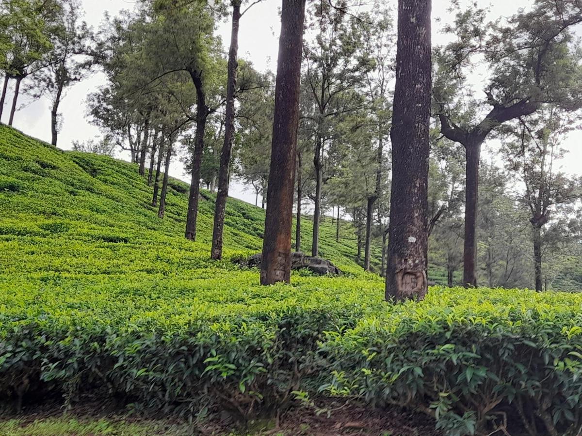Woods Hut Lägenhet Nuwara Eliya Exteriör bild