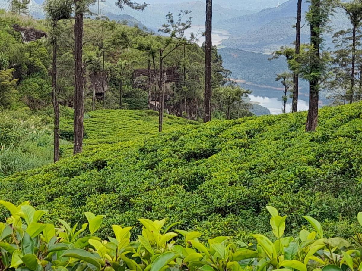 Woods Hut Lägenhet Nuwara Eliya Exteriör bild