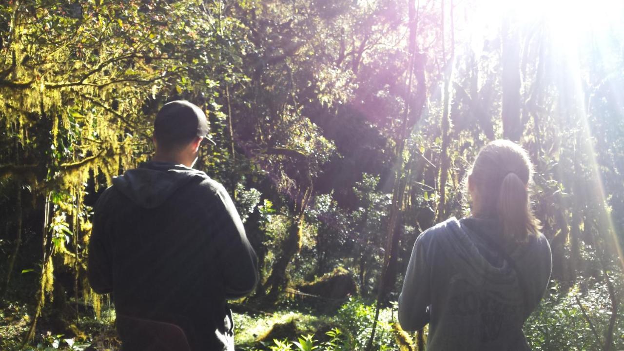 Woods Hut Lägenhet Nuwara Eliya Exteriör bild